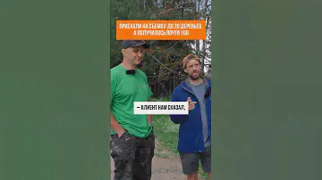 Приехали НА СЪЕМКУ 20 ДЕРЕВЬЕВ – получилось ПОЧТИ 100 #недвижимость #кадастр #геодезия #вырубка