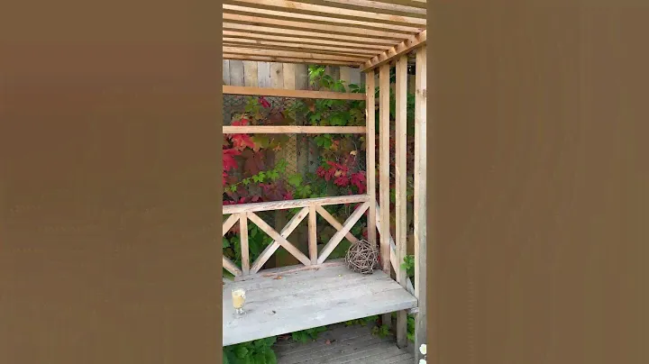Как организовано мое место отдыха в саду #сад #дача #садоводство #растения #garden