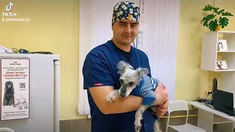 Доктор Пух Ижевск