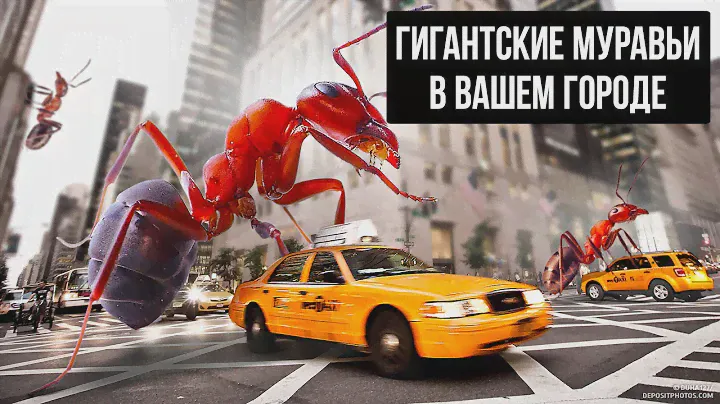 Что, если ваш город захватили бы гигантские муравьи