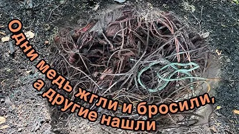 Места обжига меди: разбросанные по краям деньги