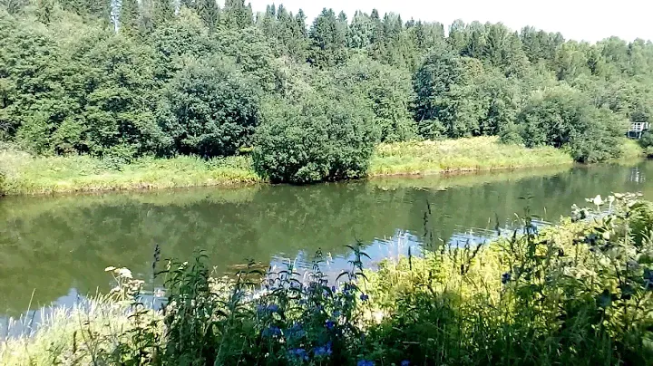 Река Лысьва