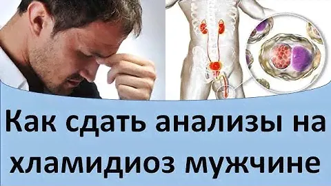 Как сдать анализы на хламидиоз мужчине