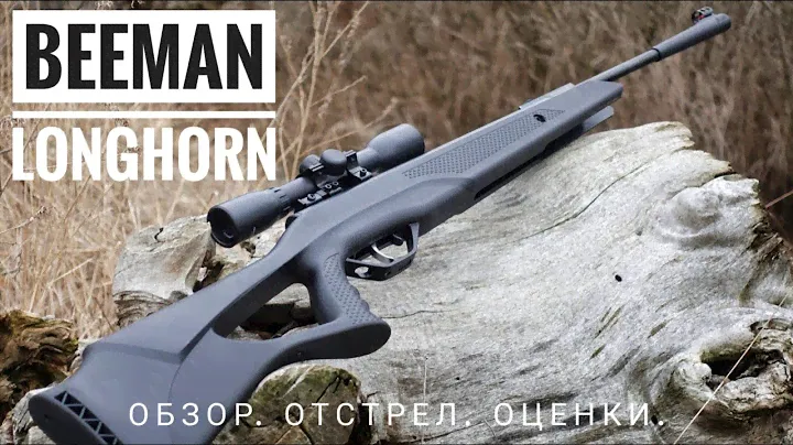 Пневматическая винтовка Beeman Longhorn. Магнум за копейки. Обзор.