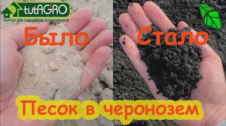 ЭТО УДОБРЕНИЕ ПРЕВРАЩАЕТ ЛЮБУЮ ПОЧВУ В ЧЕРНОЗЕМ! Реально работает! Удобрения сохраняют влагу в почве