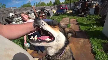 Добываю медь из советской техники!