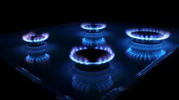 Какой газ используется в жилых домах и квартирах?
