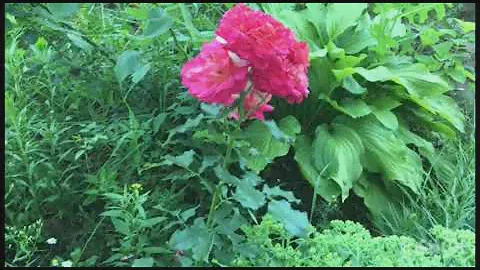 Мои покупки . Дисконт Центр.07.24г.