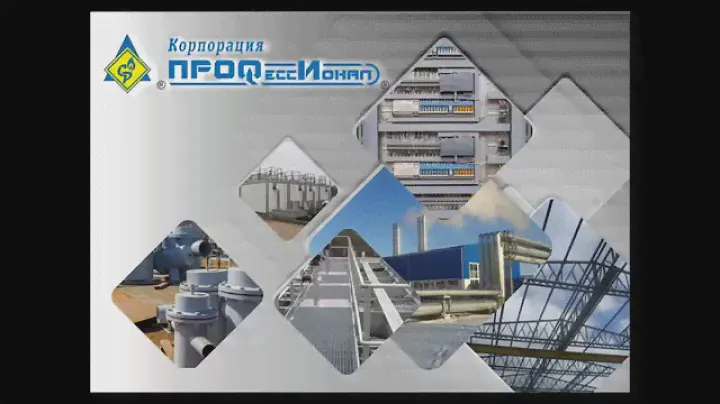Каталог продукции Корпорации "Профессионал". 2016