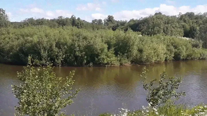 Наша река Лысьва.