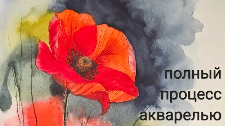 Процесс раскрашивания акварелью в раскраске "Цветочный год" Лейлы Дьюли coloralong Leila Duly