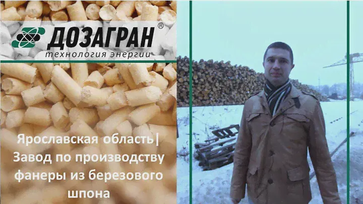 Ярославская область| Завод по производству фанеры из березового шпона